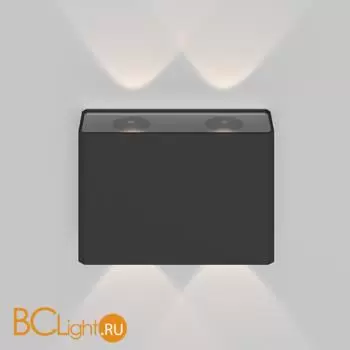 Настенный светильник Maytoni Show O433WL-L4GF3K - Фото 2