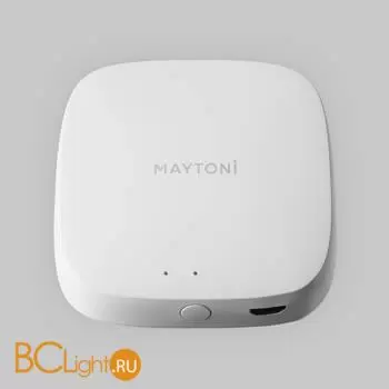 Wi-Fi модуль Maytoni Smart control MD-TRA034-W - Фото 1