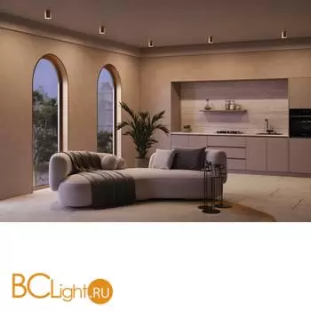 Спот Maytoni Spark new C094-GU10-MG - Фото 2