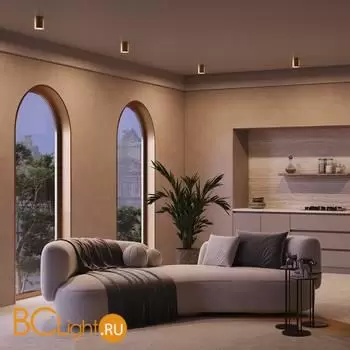 Спот Maytoni Spark new C094-GU10-MG - Фото 1