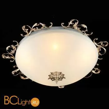 Потолочный светильник Maytoni Speria CL900-05-G