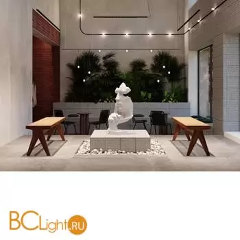 Трековый светильник Maytoni Spiky TR175-1-24WTW-M-B - Фото 2