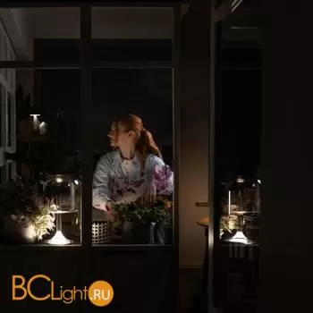 Настольная лампа Maytoni Spirito MOD286TL-L8B3K - Фото 6