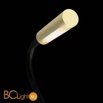 Настенный светильник (бра) Maytoni Stem 3000К 3Вт IP 20 C035WL-L3MG3K - Фото 1