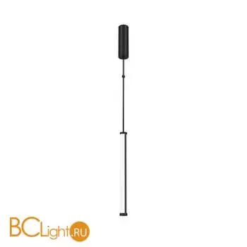 Подвесной светильник Maytoni Supersymmetry P096PL-L11BK1