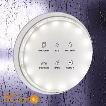 Светодиодная лента 2835 12V 6000K 7.2Вт/м 60LED/м IP65 Maytoni 20006 - Фото 0