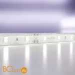 Светодиодная лента 2835 12V 6000K 7.2Вт/м 60LED/м IP65 Maytoni 20006
