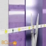 Светодиодная лента 2835 12V 3000K 4.8Вт/м 60LED/м IP20 Maytoni 20007 - Фото 1