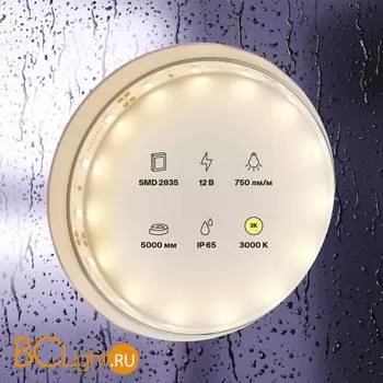 Светодиодная лента 2835 12V 3000K 7.2Вт/м 60LED/м IP65 Maytoni 20004 - Фото 0