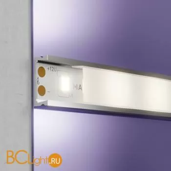 Светодиодная лента 2835 12V 4000K 7.2Вт/м 60LED/м IP20 Maytoni 20002 - Фото 2