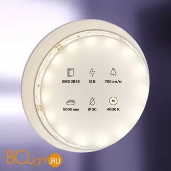Светодиодная лента 2835 12V 4000K 7.2Вт/м 60LED/м IP20 Maytoni 20002 - Фото 0