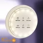 Светодиодная лента 2835 12V 4000K 7.2Вт/м 60LED/м IP20 Maytoni 20002 - Фото 0