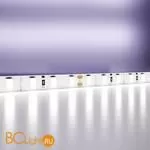 Светодиодная лента 2835 24V 6000K 9.6Вт/м 120LED/м IP20 Maytoni 20021