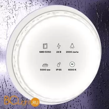 Светодиодная лента 5050 24V 6000K 21Вт/м 96LED/м IP65 Maytoni 20027 - Фото 0