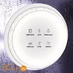 Светодиодная лента 5050 24V 6000K 21Вт/м 96LED/м IP65 Maytoni 20027 - Фото 0