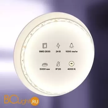 Светодиодная лента 2835 24V 4000K 9.6Вт/м 120LED/м IP20 Maytoni 20020 - Фото 0