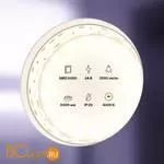 Светодиодная лента 5050 24V 4000K 28.8Вт/м 120LED/м IP20 Maytoni 20035 - Фото 0