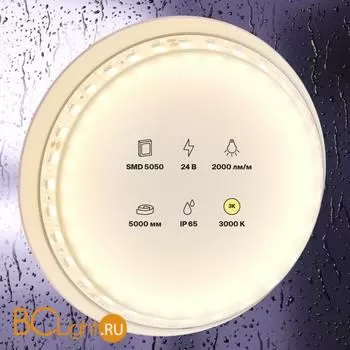 Светодиодная лента 5050 24V 3000K 21Вт/м 96LED/м IP65 Maytoni 20025 - Фото 0