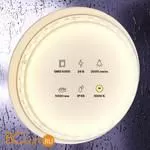 Светодиодная лента 5050 24V 3000K 21Вт/м 96LED/м IP65 Maytoni 20025 - Фото 0