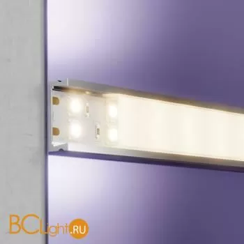 Светодиодная лента 5050 24V 3000K 28.8Вт/м 120LED/м IP20 Maytoni 20034 - Фото 2