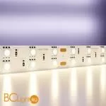 Светодиодная лента 5050 24V 3000K 28.8Вт/м 120LED/м IP20 Maytoni 20034