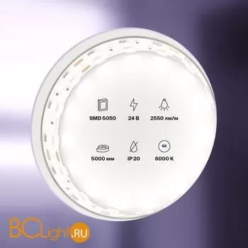 Светодиодная лента 5050 24V 6000K 28.8Вт/м 120LED/м IP20 Maytoni 20036 - Фото 0