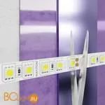 Светодиодная лента 5050 24V 3000K 21Вт/м 96LED/м IP20 Maytoni 20022 - Фото 1