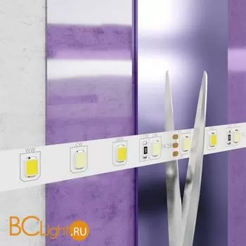 Светодиодная лента 2835 24V MIX 3000-6000K 12Вт/м 120LED/м IP20 Maytoni 20040 - Фото 1