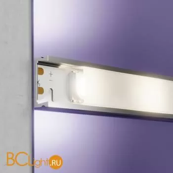 Светодиодная лента 5050 24V 4000K 12Вт/м 60LED/м IP20 Maytoni 20045 - Фото 2