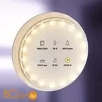 Светодиодная лента 5050 24V 3000K 12Вт/м 60LED/м IP20 Maytoni 20044 - Фото 0