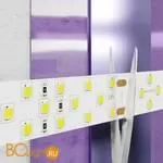 Светодиодная лента 2835 24V 3000K 27Вт/м 252LED/м IP20 Maytoni 20031 - Фото 1