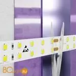 Светодиодная лента 2835 24V 6000K 20Вт/м 196LED/м IP20 Maytoni 20030 - Фото 1
