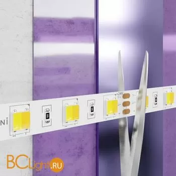 Светодиодная лента 2835 24V MIX 3000-6000K 14.4Вт/м 60LED/м IP20 Maytoni 20043 - Фото 1