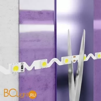 Светодиодная лента 5050 24V 6000K 12Вт/м 60LED/м IP20 Maytoni 20046 - Фото 1