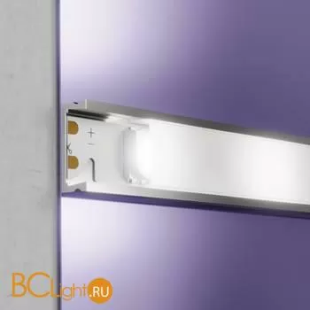 Светодиодная лента 5050 24V 6000K 12Вт/м 60LED/м IP20 Maytoni 20046 - Фото 2