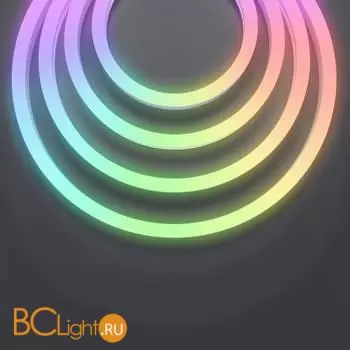 Гибкий неон 17x12 24В 17,8Вт/м RGB SPI IP67 5м - Фото 3