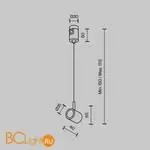 Коннектор с тросовым подвесом Tau в шинопровод Flarity платина TRA154SW-1PT - Фото 3