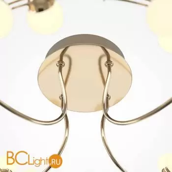 Потолочный светильник Maytoni Tessara MOD081CL-L36G3K - Фото 2