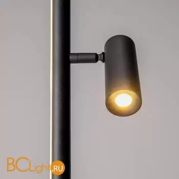 Торшер Maytoni Thin MOD395FL-L28B3K - Фото 1