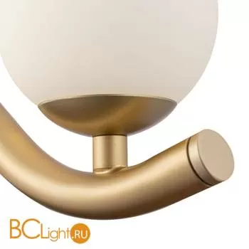 Бра Maytoni Uva MOD059WL-05G - Фото 1