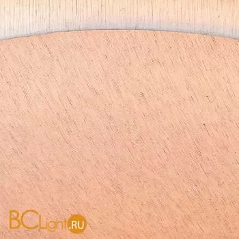 Потолочный светильник Maytoni Venera H260-05-N - Фото 2