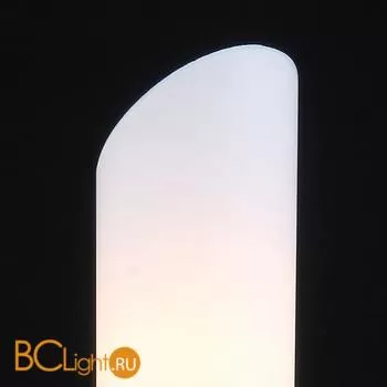 Настенный светильник Maytoni Venera H260-02-R - Фото 1