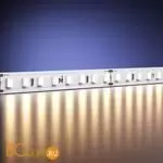 Светодиодная (LED) лента Maytoni Высокоэффективная светодиодная лента 201097 - Фото 1