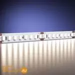 Светодиодная (LED) лента Maytoni Высокоэффективная светодиодная лента 201101 - Фото 1