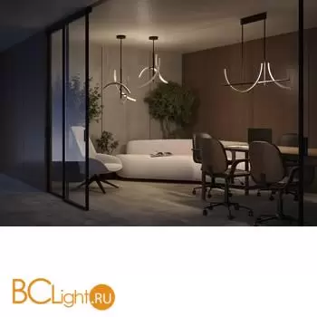 Подвесной светильник Maytoni Wabi MOD428PL-L27BK - Фото 1