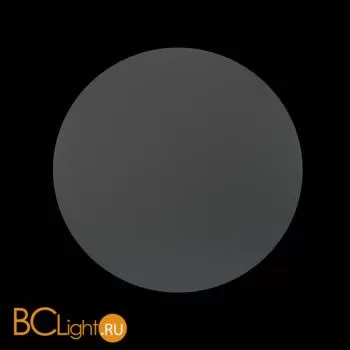 Настенный светильник Maytoni Wald O420WL-L12GF - Фото 1