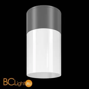 Уличный потолочный светильник Maytoni Willis O418CL-01GR