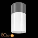 Уличный потолочный светильник Maytoni Willis O418CL-01GR