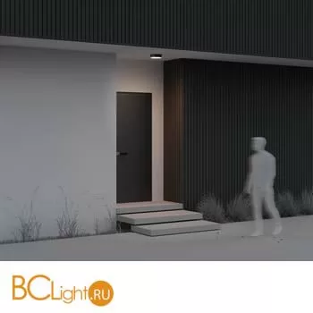 Уличный потолочный светильник Maytoni Zon IP O431CL-L30B3K - Фото 5