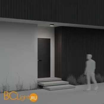 Уличный потолочный светильник Maytoni Zon IP O431CL-L30B4K - Фото 3